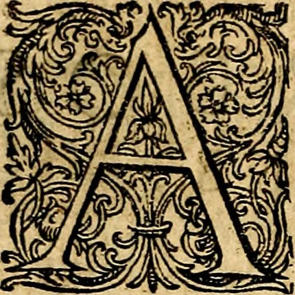 An illustration from Joachimi Camerarii Symbolorvm et emblematvm centvriæ tres. I. Ex herbis & stirpibus. II. Ex animalibus quadrupedibus. III. Ex volatilibus & insectis. Accessit noviter centvria IV. Ex aquatilibus & reptilibus. Cvm figvris æneis, 1605, leaf 11