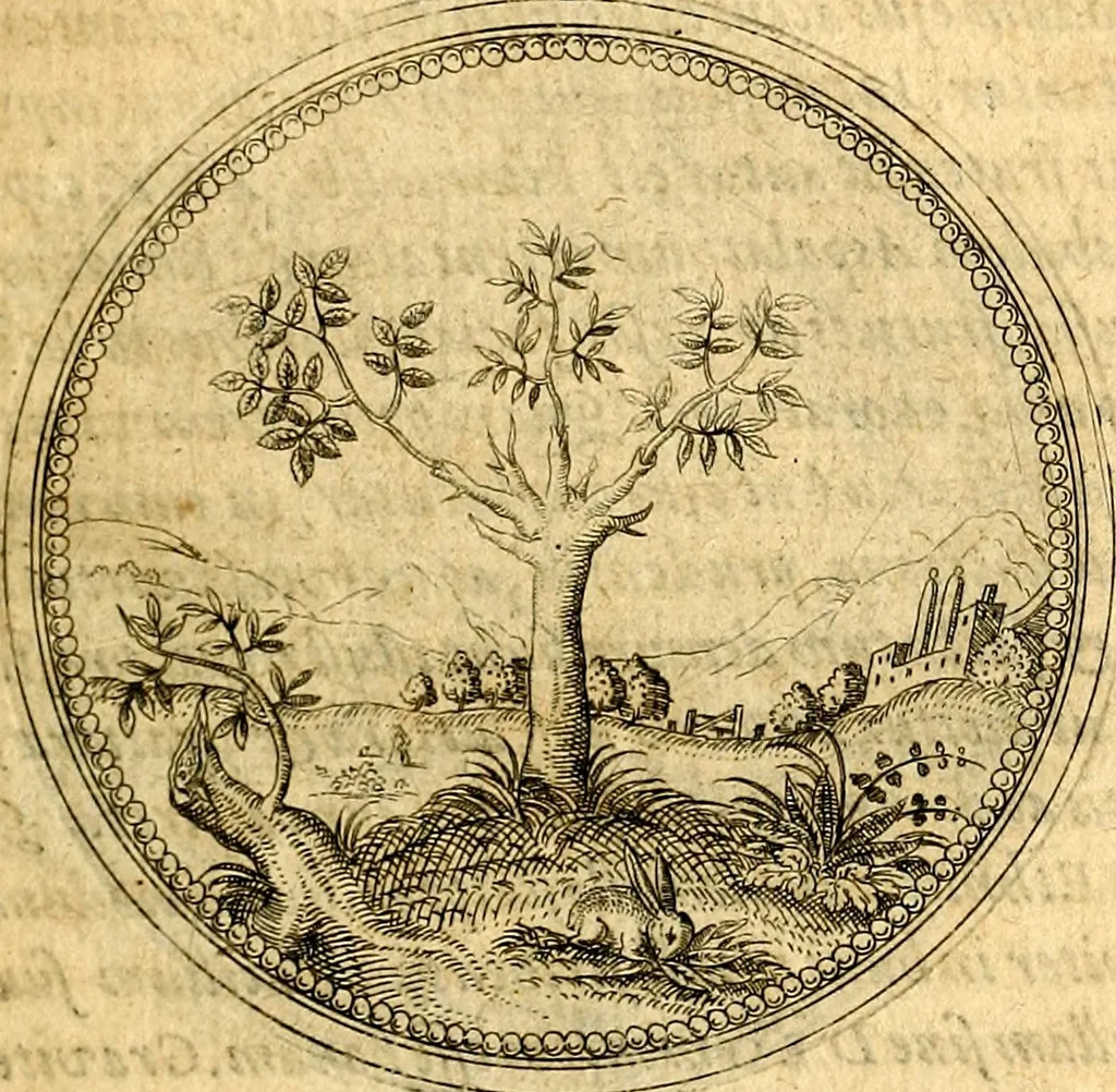 An illustration from Joachimi Camerarii Symbolorvm et emblematvm centvriæ tres. I. Ex herbis & stirpibus. II. Ex animalibus quadrupedibus. III. Ex volatilibus & insectis. Accessit noviter centvria IV. Ex aquatilibus & reptilibus. Cvm figvris æneis, 1605, leaf 12