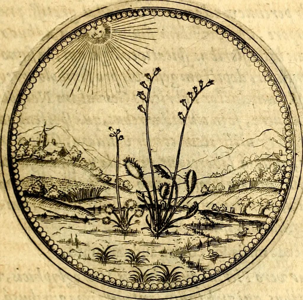 An illustration from Joachimi Camerarii Symbolorvm et emblematvm centvriæ tres. I. Ex herbis & stirpibus. II. Ex animalibus quadrupedibus. III. Ex volatilibus & insectis. Accessit noviter centvria IV. Ex aquatilibus & reptilibus. Cvm figvris æneis, 1605, leaf 126