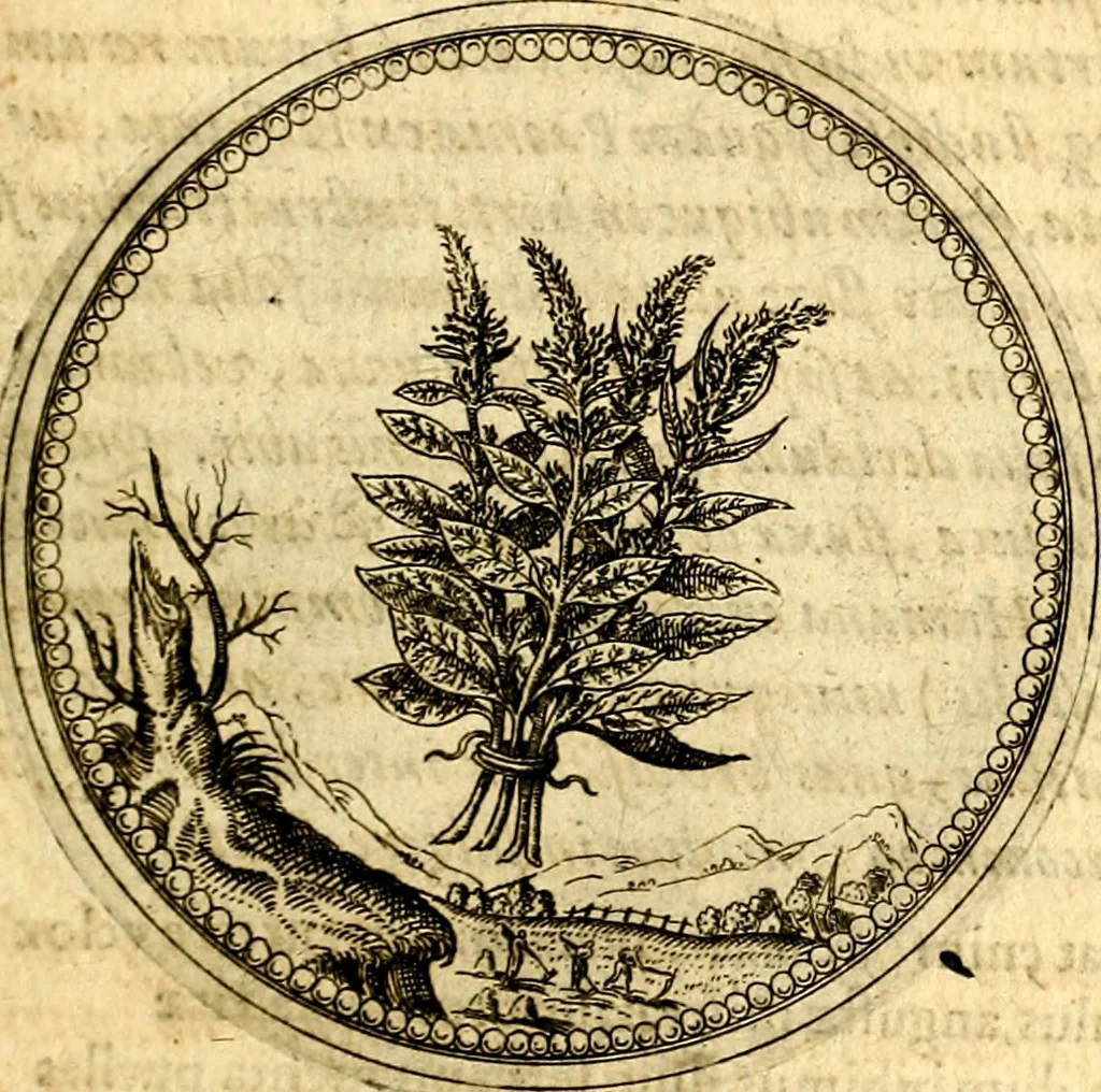 An illustration from Joachimi Camerarii Symbolorvm et emblematvm centvriæ tres. I. Ex herbis & stirpibus. II. Ex animalibus quadrupedibus. III. Ex volatilibus & insectis. Accessit noviter centvria IV. Ex aquatilibus & reptilibus. Cvm figvris æneis, 1605, leaf 128