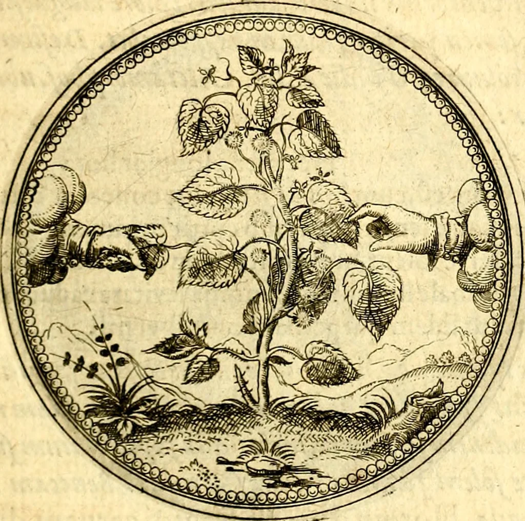 An illustration from Joachimi Camerarii Symbolorvm et emblematvm centvriæ tres. I. Ex herbis & stirpibus. II. Ex animalibus quadrupedibus. III. Ex volatilibus & insectis. Accessit noviter centvria IV. Ex aquatilibus & reptilibus. Cvm figvris æneis, 1605, leaf 142
