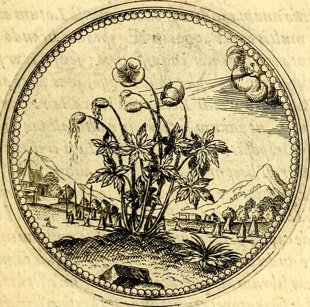 An illustration from Joachimi Camerarii Symbolorvm et emblematvm centvriæ tres. I. Ex herbis & stirpibus. II. Ex animalibus quadrupedibus. III. Ex volatilibus & insectis. Accessit noviter centvria IV. Ex aquatilibus & reptilibus. Cvm figvris æneis, 1605, leaf 144