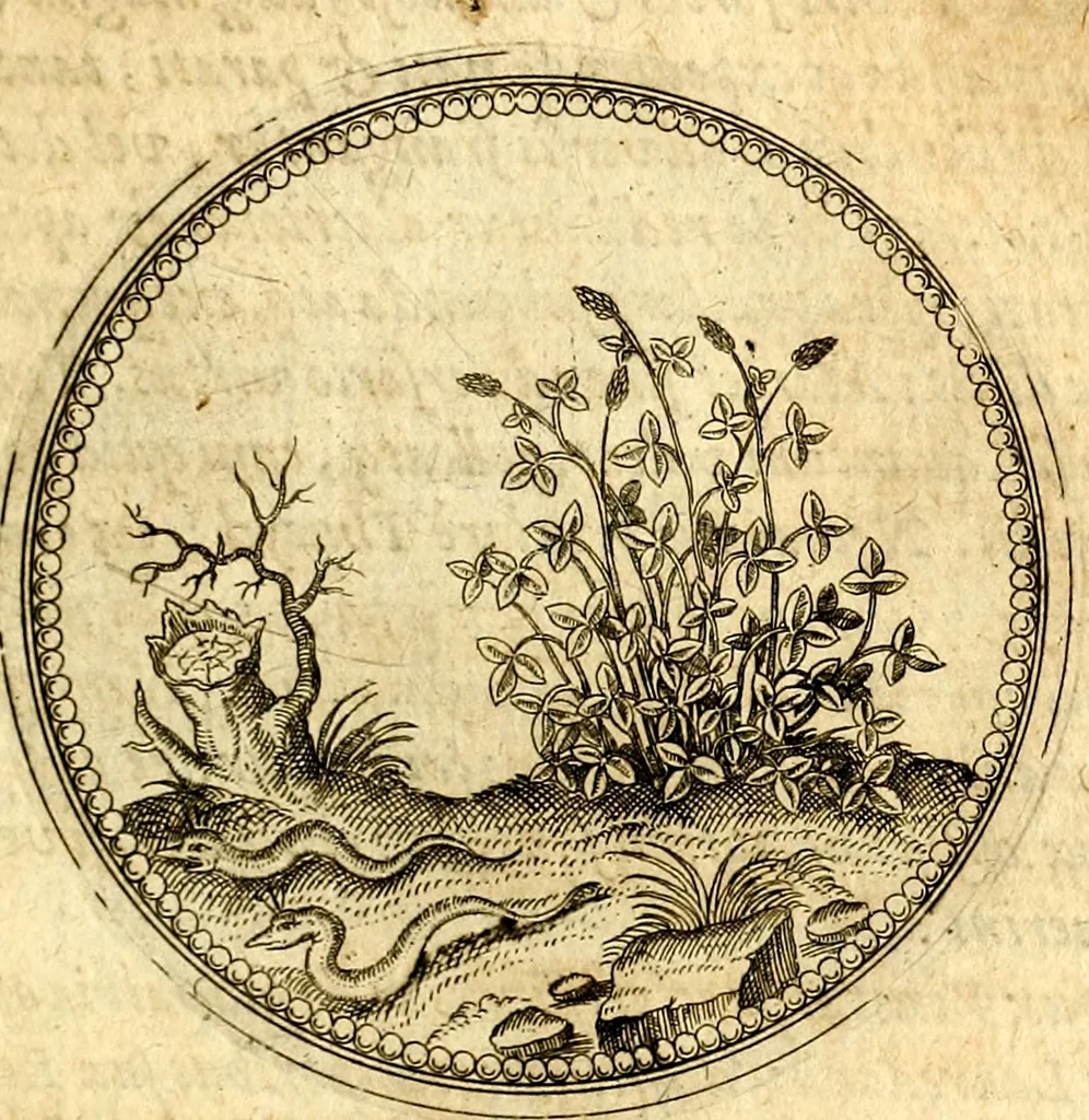 An illustration from Joachimi Camerarii Symbolorvm et emblematvm centvriæ tres. I. Ex herbis & stirpibus. II. Ex animalibus quadrupedibus. III. Ex volatilibus & insectis. Accessit noviter centvria IV. Ex aquatilibus & reptilibus. Cvm figvris æneis, 1605, leaf 154