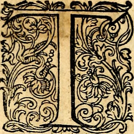 An illustration from Joachimi Camerarii Symbolorvm et emblematvm centvriæ tres. I. Ex herbis & stirpibus. II. Ex animalibus quadrupedibus. III. Ex volatilibus & insectis. Accessit noviter centvria IV. Ex aquatilibus & reptilibus. Cvm figvris æneis, 1605, leaf 155