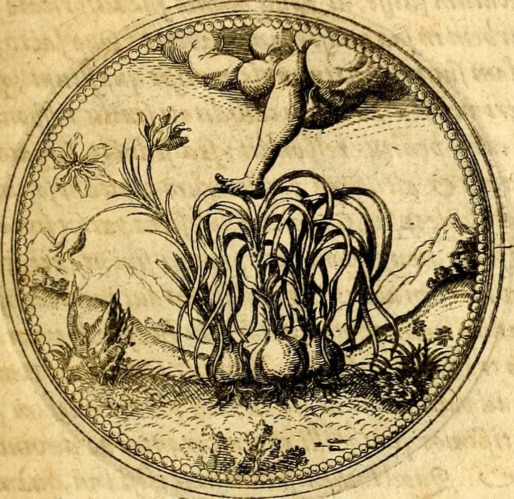 An illustration from Joachimi Camerarii Symbolorvm et emblematvm centvriæ tres. I. Ex herbis & stirpibus. II. Ex animalibus quadrupedibus. III. Ex volatilibus & insectis. Accessit noviter centvria IV. Ex aquatilibus & reptilibus. Cvm figvris æneis, 1605, leaf 156