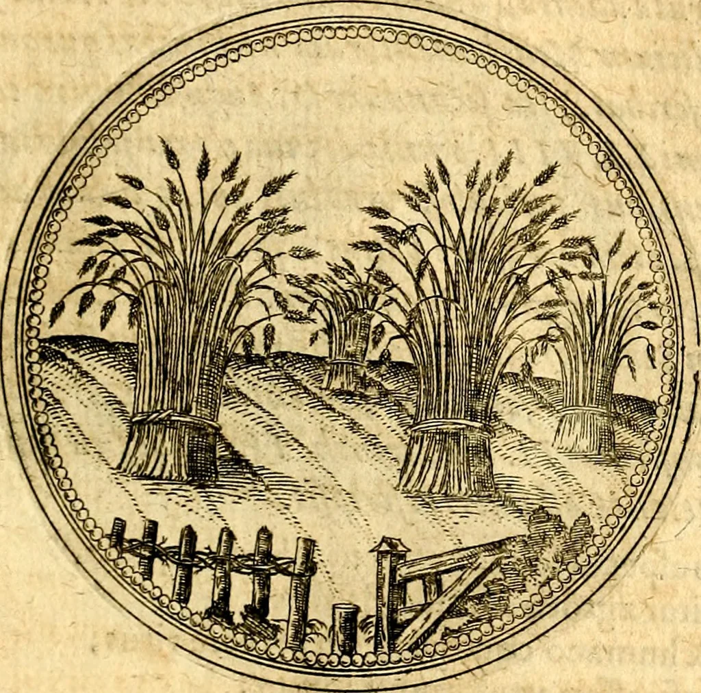 An illustration from Joachimi Camerarii Symbolorvm et emblematvm centvriæ tres. I. Ex herbis & stirpibus. II. Ex animalibus quadrupedibus. III. Ex volatilibus & insectis. Accessit noviter centvria IV. Ex aquatilibus & reptilibus. Cvm figvris æneis, 1605, leaf 162