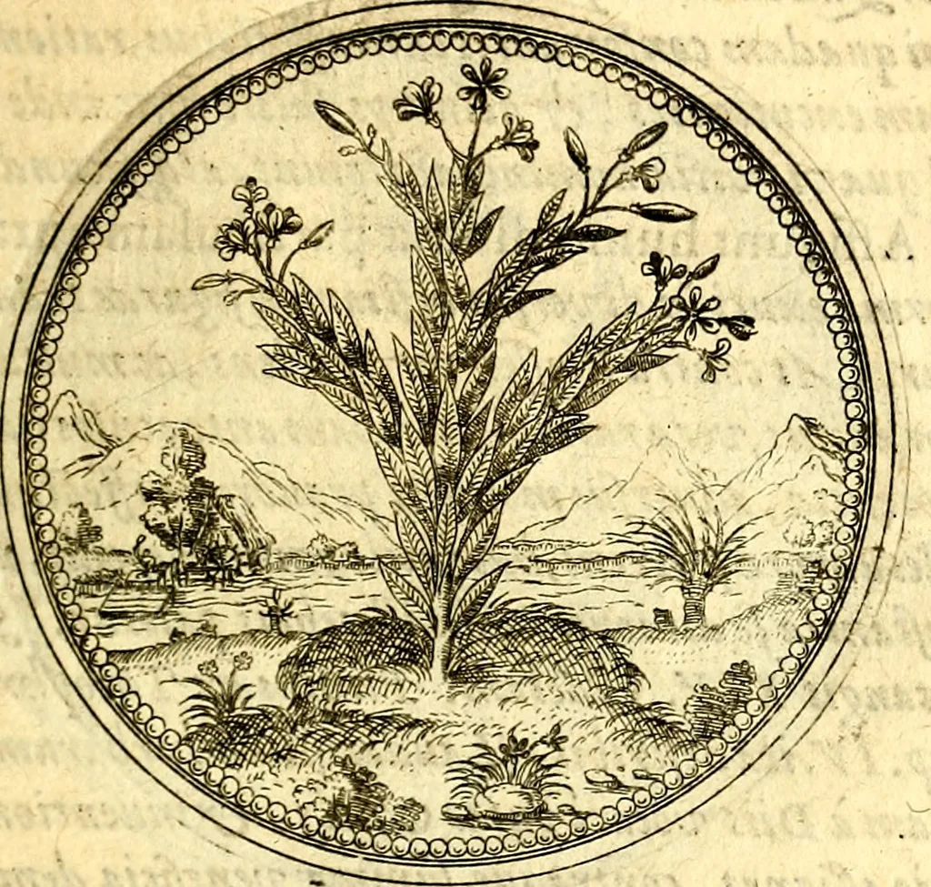 An illustration from Joachimi Camerarii Symbolorvm et emblematvm centvriæ tres. I. Ex herbis & stirpibus. II. Ex animalibus quadrupedibus. III. Ex volatilibus & insectis. Accessit noviter centvria IV. Ex aquatilibus & reptilibus. Cvm figvris æneis, 1605, leaf 164