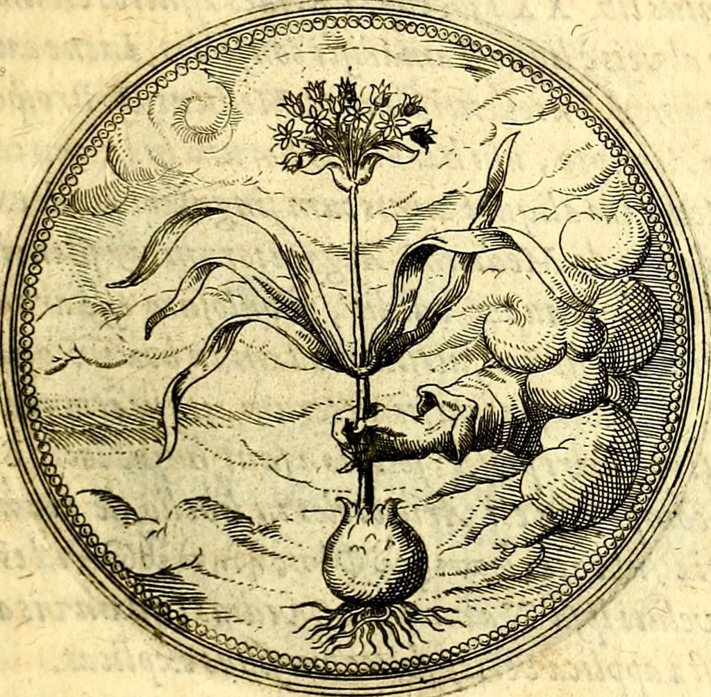 An illustration from Joachimi Camerarii Symbolorvm et emblematvm centvriæ tres. I. Ex herbis & stirpibus. II. Ex animalibus quadrupedibus. III. Ex volatilibus & insectis. Accessit noviter centvria IV. Ex aquatilibus & reptilibus. Cvm figvris æneis, 1605, leaf 166