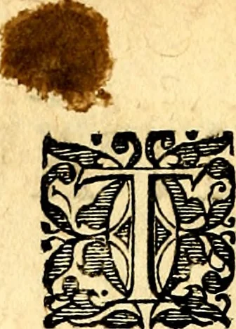 An illustration from Joachimi Camerarii Symbolorvm et emblematvm centvriæ tres. I. Ex herbis & stirpibus. II. Ex animalibus quadrupedibus. III. Ex volatilibus & insectis. Accessit noviter centvria IV. Ex aquatilibus & reptilibus. Cvm figvris æneis, 1605, leaf 167