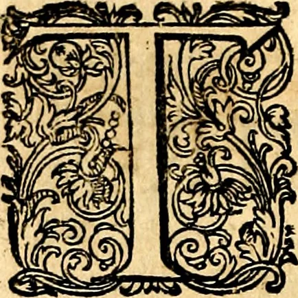 An illustration from Joachimi Camerarii Symbolorvm et emblematvm centvriæ tres. I. Ex herbis & stirpibus. II. Ex animalibus quadrupedibus. III. Ex volatilibus & insectis. Accessit noviter centvria IV. Ex aquatilibus & reptilibus. Cvm figvris æneis, 1605, leaf 17
