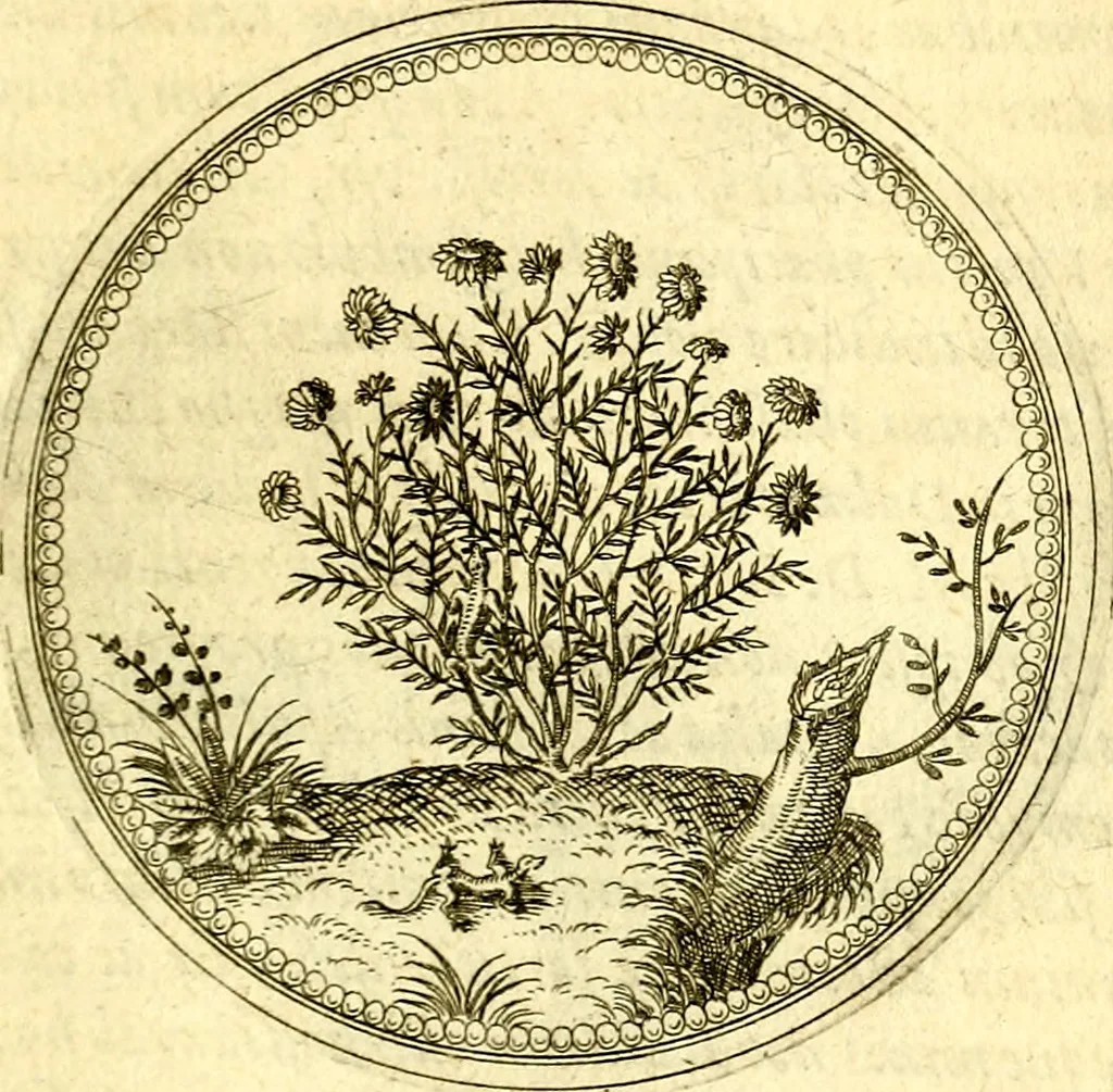 An illustration from Joachimi Camerarii Symbolorvm et emblematvm centvriæ tres. I. Ex herbis & stirpibus. II. Ex animalibus quadrupedibus. III. Ex volatilibus & insectis. Accessit noviter centvria IV. Ex aquatilibus & reptilibus. Cvm figvris æneis, 1605, leaf 176