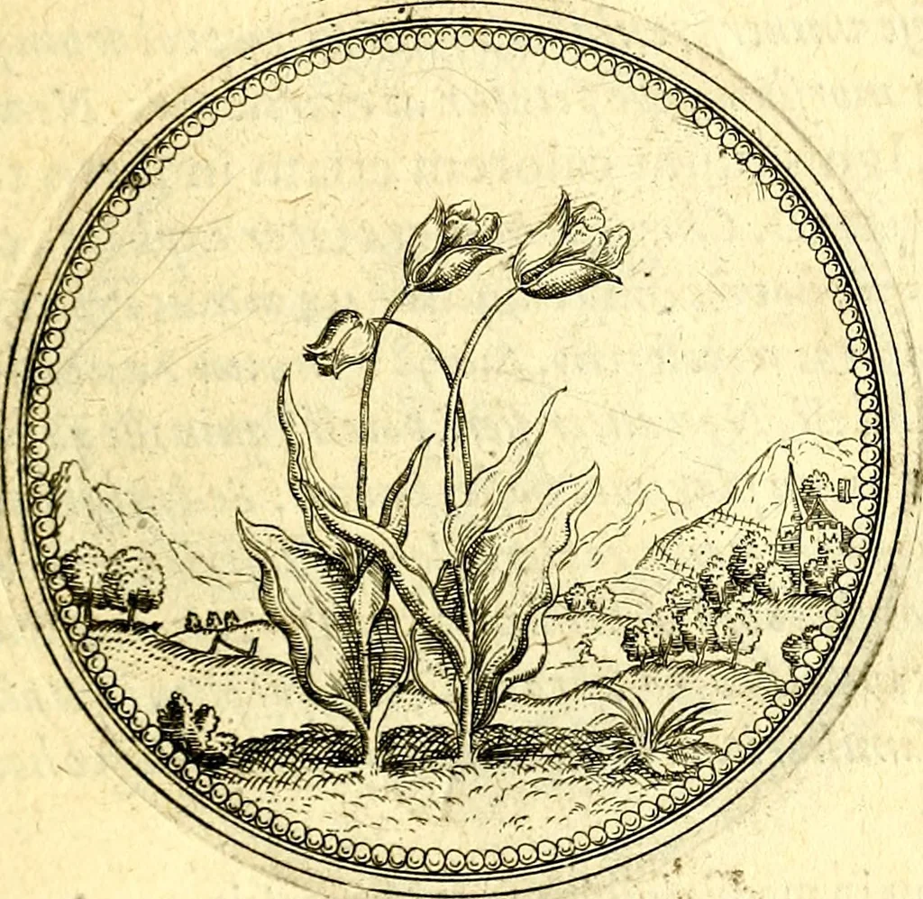 An illustration from Joachimi Camerarii Symbolorvm et emblematvm centvriæ tres. I. Ex herbis & stirpibus. II. Ex animalibus quadrupedibus. III. Ex volatilibus & insectis. Accessit noviter centvria IV. Ex aquatilibus & reptilibus. Cvm figvris æneis, 1605, leaf 180