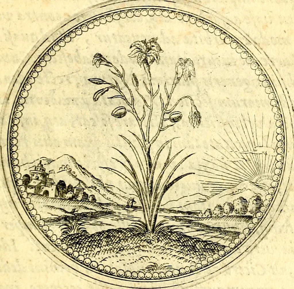 An illustration from Joachimi Camerarii Symbolorvm et emblematvm centvriæ tres. I. Ex herbis & stirpibus. II. Ex animalibus quadrupedibus. III. Ex volatilibus & insectis. Accessit noviter centvria IV. Ex aquatilibus & reptilibus. Cvm figvris æneis, 1605, leaf 196