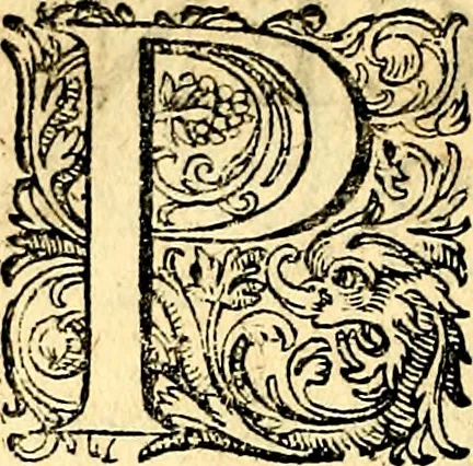 An illustration from Joachimi Camerarii Symbolorvm et emblematvm centvriæ tres. I. Ex herbis & stirpibus. II. Ex animalibus quadrupedibus. III. Ex volatilibus & insectis. Accessit noviter centvria IV. Ex aquatilibus & reptilibus. Cvm figvris æneis, 1605, leaf 199