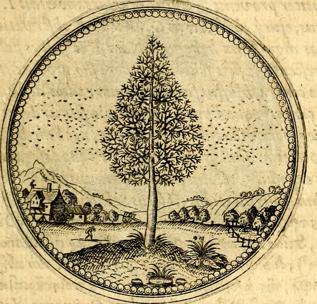 An illustration from Joachimi Camerarii Symbolorvm et emblematvm centvriæ tres. I. Ex herbis & stirpibus. II. Ex animalibus quadrupedibus. III. Ex volatilibus & insectis. Accessit noviter centvria IV. Ex aquatilibus & reptilibus. Cvm figvris æneis, 1605, leaf 20