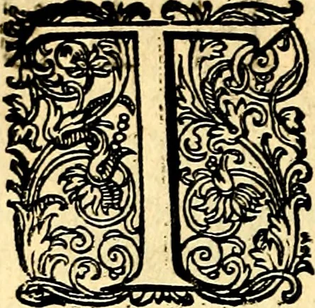 An illustration from Joachimi Camerarii Symbolorvm et emblematvm centvriæ tres. I. Ex herbis & stirpibus. II. Ex animalibus quadrupedibus. III. Ex volatilibus & insectis. Accessit noviter centvria IV. Ex aquatilibus & reptilibus. Cvm figvris æneis, 1605, leaf 201