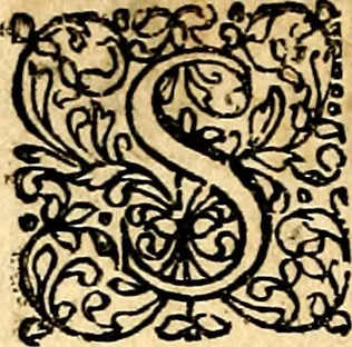 An illustration from Joachimi Camerarii Symbolorvm et emblematvm centvriæ tres. I. Ex herbis & stirpibus. II. Ex animalibus quadrupedibus. III. Ex volatilibus & insectis. Accessit noviter centvria IV. Ex aquatilibus & reptilibus. Cvm figvris æneis, 1605, leaf 211