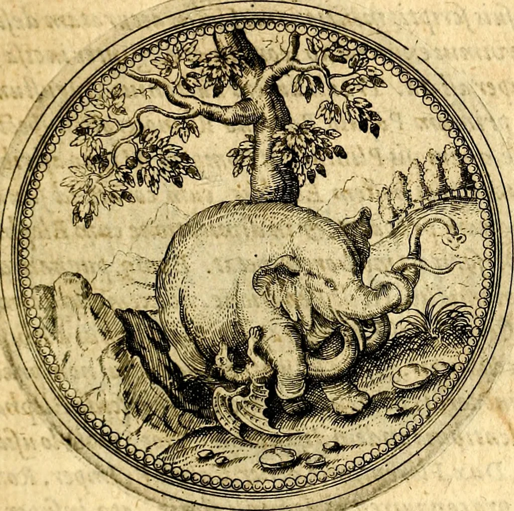 An illustration from Joachimi Camerarii Symbolorvm et emblematvm centvriæ tres. I. Ex herbis & stirpibus. II. Ex animalibus quadrupedibus. III. Ex volatilibus & insectis. Accessit noviter centvria IV. Ex aquatilibus & reptilibus. Cvm figvris æneis, 1605, leaf 214