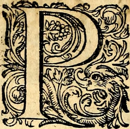 An illustration from Joachimi Camerarii Symbolorvm et emblematvm centvriæ tres. I. Ex herbis & stirpibus. II. Ex animalibus quadrupedibus. III. Ex volatilibus & insectis. Accessit noviter centvria IV. Ex aquatilibus & reptilibus. Cvm figvris æneis, 1605, leaf 219