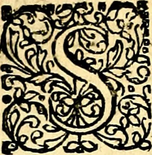 An illustration from Joachimi Camerarii Symbolorvm et emblematvm centvriæ tres. I. Ex herbis & stirpibus. II. Ex animalibus quadrupedibus. III. Ex volatilibus & insectis. Accessit noviter centvria IV. Ex aquatilibus & reptilibus. Cvm figvris æneis, 1605, leaf 231