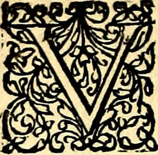 An illustration from Joachimi Camerarii Symbolorvm et emblematvm centvriæ tres. I. Ex herbis & stirpibus. II. Ex animalibus quadrupedibus. III. Ex volatilibus & insectis. Accessit noviter centvria IV. Ex aquatilibus & reptilibus. Cvm figvris æneis, 1605, leaf 235