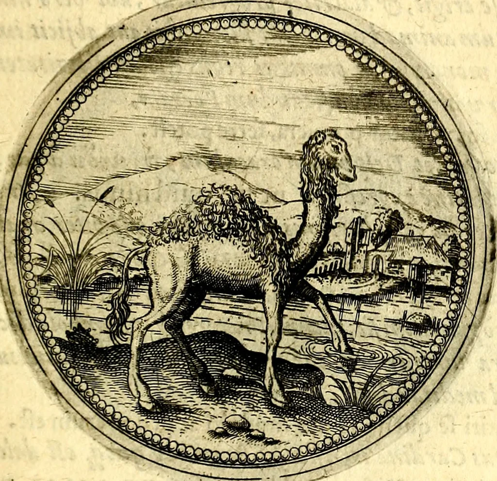 An illustration from Joachimi Camerarii Symbolorvm et emblematvm centvriæ tres. I. Ex herbis & stirpibus. II. Ex animalibus quadrupedibus. III. Ex volatilibus & insectis. Accessit noviter centvria IV. Ex aquatilibus & reptilibus. Cvm figvris æneis, 1605, leaf 238