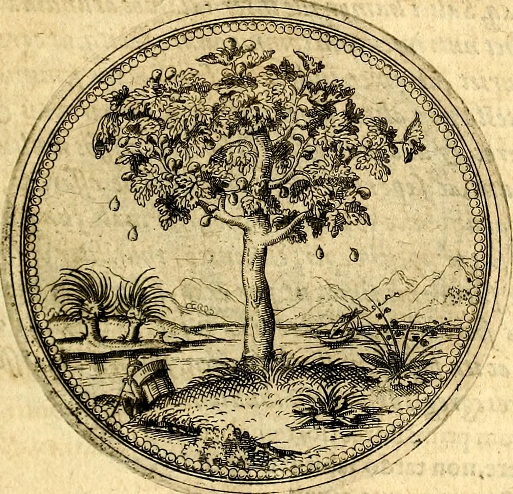 An illustration from Joachimi Camerarii Symbolorvm et emblematvm centvriæ tres. I. Ex herbis & stirpibus. II. Ex animalibus quadrupedibus. III. Ex volatilibus & insectis. Accessit noviter centvria IV. Ex aquatilibus & reptilibus. Cvm figvris æneis, 1605, leaf 24