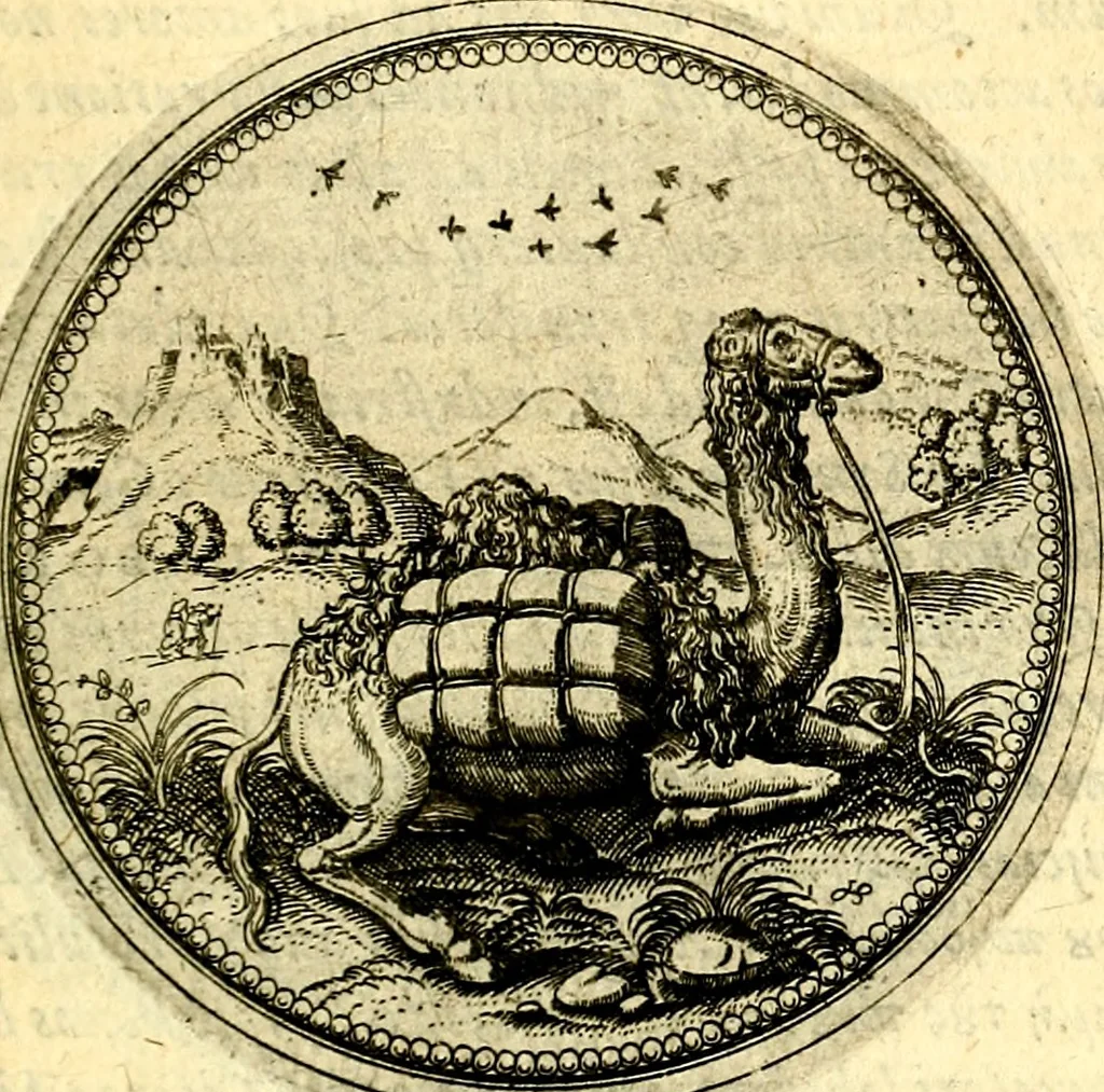 An illustration from Joachimi Camerarii Symbolorvm et emblematvm centvriæ tres. I. Ex herbis & stirpibus. II. Ex animalibus quadrupedibus. III. Ex volatilibus & insectis. Accessit noviter centvria IV. Ex aquatilibus & reptilibus. Cvm figvris æneis, 1605, leaf 240