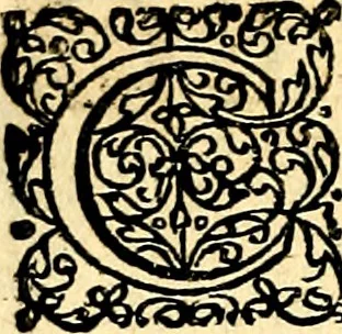 An illustration from Joachimi Camerarii Symbolorvm et emblematvm centvriæ tres. I. Ex herbis & stirpibus. II. Ex animalibus quadrupedibus. III. Ex volatilibus & insectis. Accessit noviter centvria IV. Ex aquatilibus & reptilibus. Cvm figvris æneis, 1605, leaf 243
