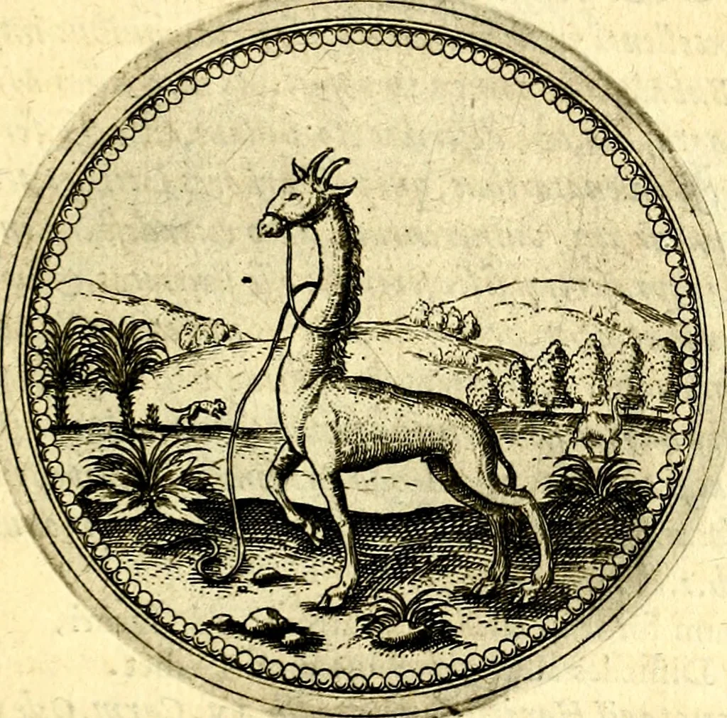 An illustration from Joachimi Camerarii Symbolorvm et emblematvm centvriæ tres. I. Ex herbis & stirpibus. II. Ex animalibus quadrupedibus. III. Ex volatilibus & insectis. Accessit noviter centvria IV. Ex aquatilibus & reptilibus. Cvm figvris æneis, 1605, leaf 244