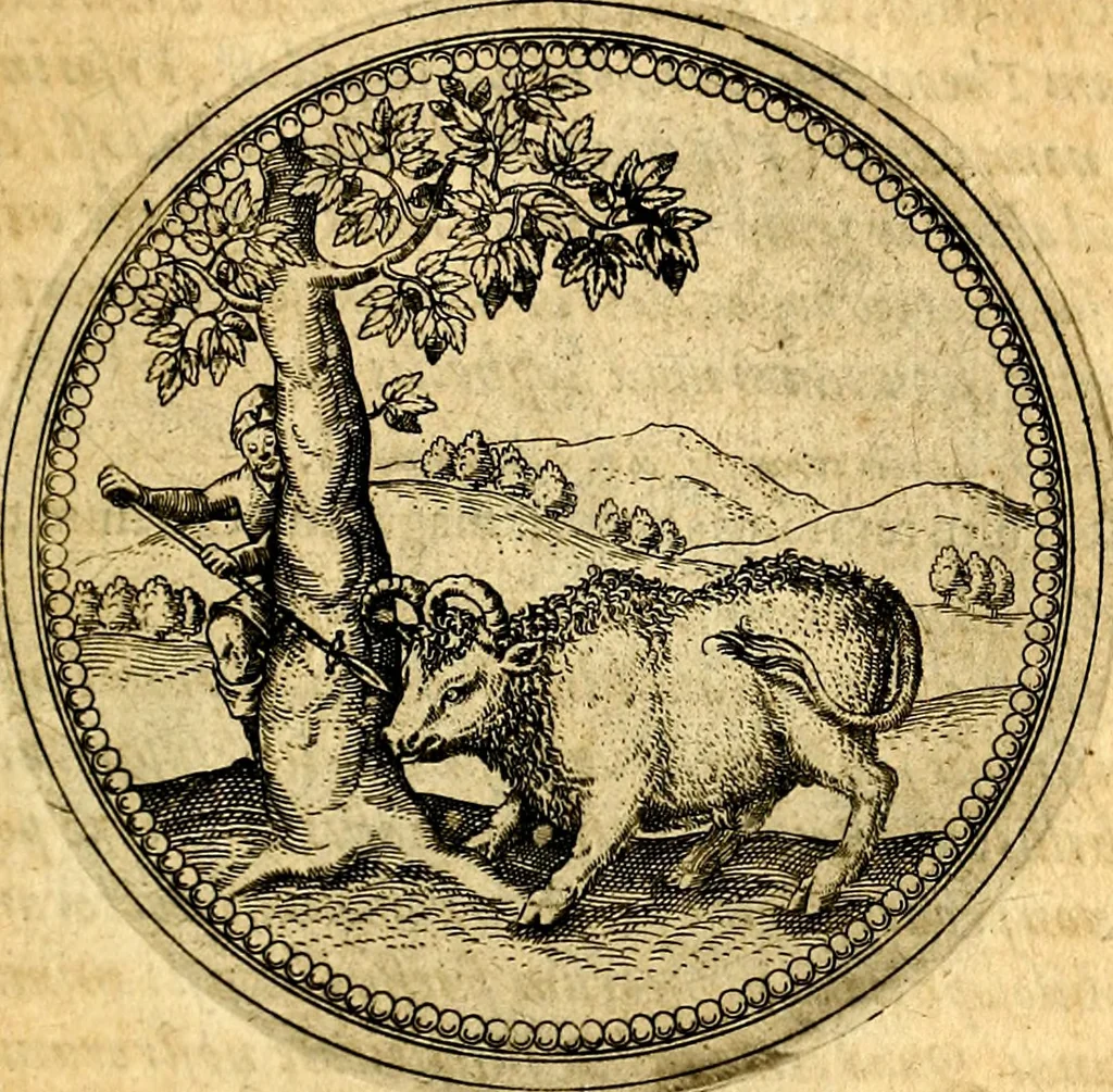 An illustration from Joachimi Camerarii Symbolorvm et emblematvm centvriæ tres. I. Ex herbis & stirpibus. II. Ex animalibus quadrupedibus. III. Ex volatilibus & insectis. Accessit noviter centvria IV. Ex aquatilibus & reptilibus. Cvm figvris æneis, 1605, leaf 246