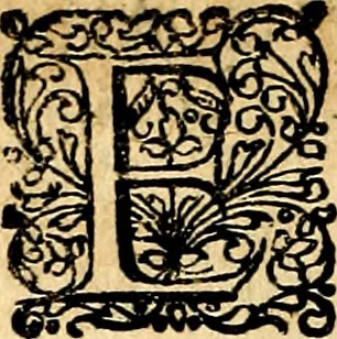 An illustration from Joachimi Camerarii Symbolorvm et emblematvm centvriæ tres. I. Ex herbis & stirpibus. II. Ex animalibus quadrupedibus. III. Ex volatilibus & insectis. Accessit noviter centvria IV. Ex aquatilibus & reptilibus. Cvm figvris æneis, 1605, leaf 255