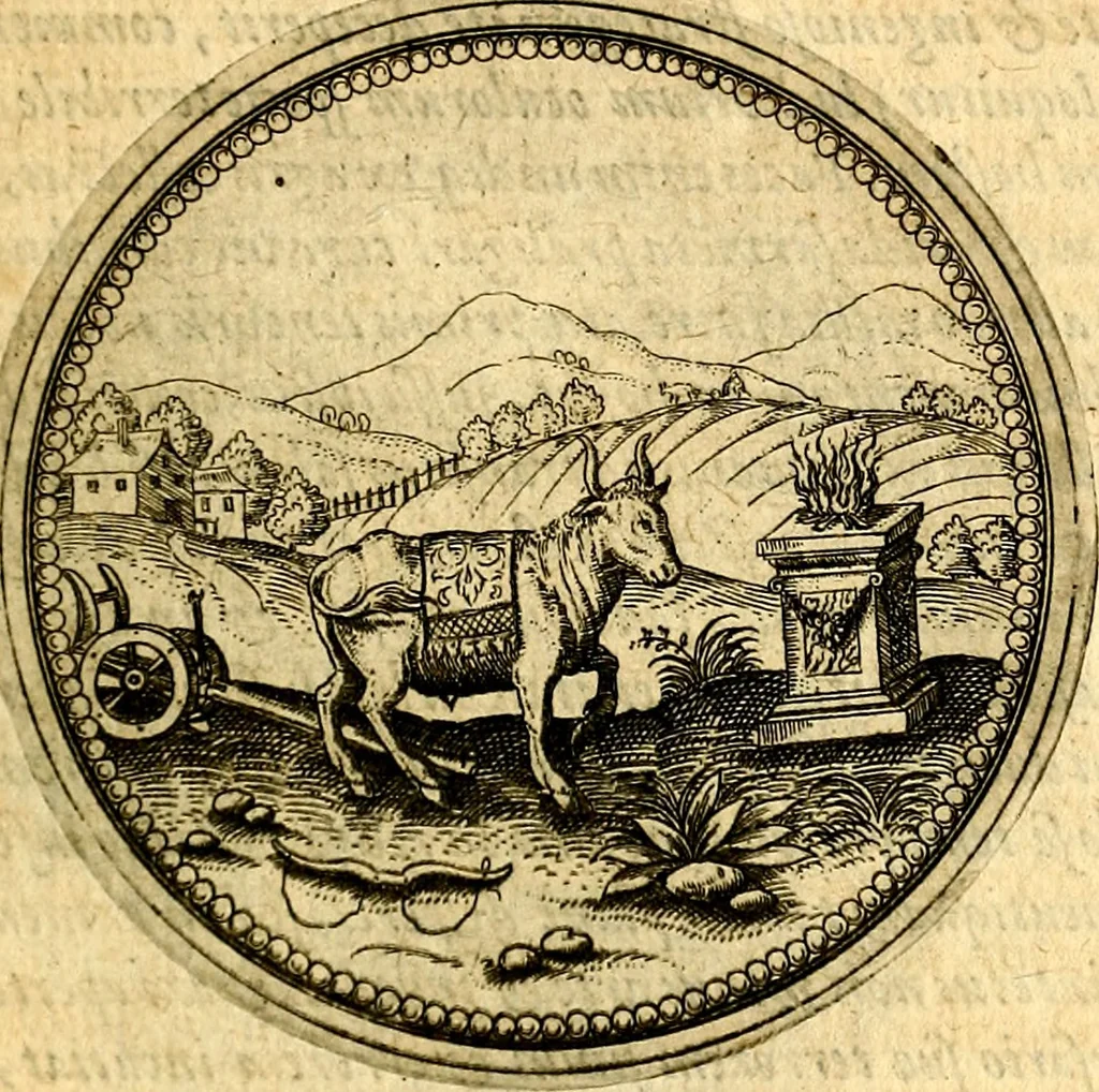 An illustration from Joachimi Camerarii Symbolorvm et emblematvm centvriæ tres. I. Ex herbis & stirpibus. II. Ex animalibus quadrupedibus. III. Ex volatilibus & insectis. Accessit noviter centvria IV. Ex aquatilibus & reptilibus. Cvm figvris æneis, 1605, leaf 256