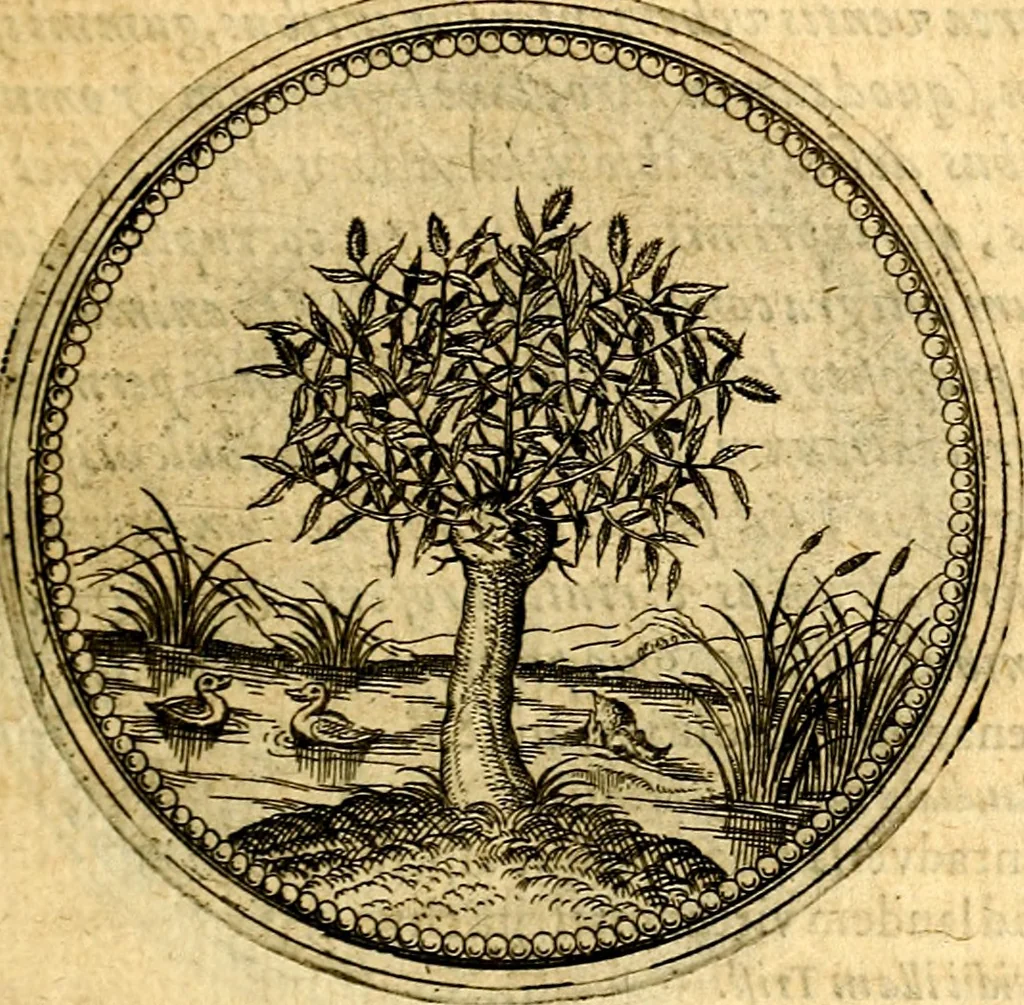 An illustration from Joachimi Camerarii Symbolorvm et emblematvm centvriæ tres. I. Ex herbis & stirpibus. II. Ex animalibus quadrupedibus. III. Ex volatilibus & insectis. Accessit noviter centvria IV. Ex aquatilibus & reptilibus. Cvm figvris æneis, 1605, leaf 26