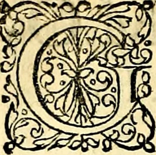 An illustration from Joachimi Camerarii Symbolorvm et emblematvm centvriæ tres. I. Ex herbis & stirpibus. II. Ex animalibus quadrupedibus. III. Ex volatilibus & insectis. Accessit noviter centvria IV. Ex aquatilibus & reptilibus. Cvm figvris æneis, 1605, leaf 265