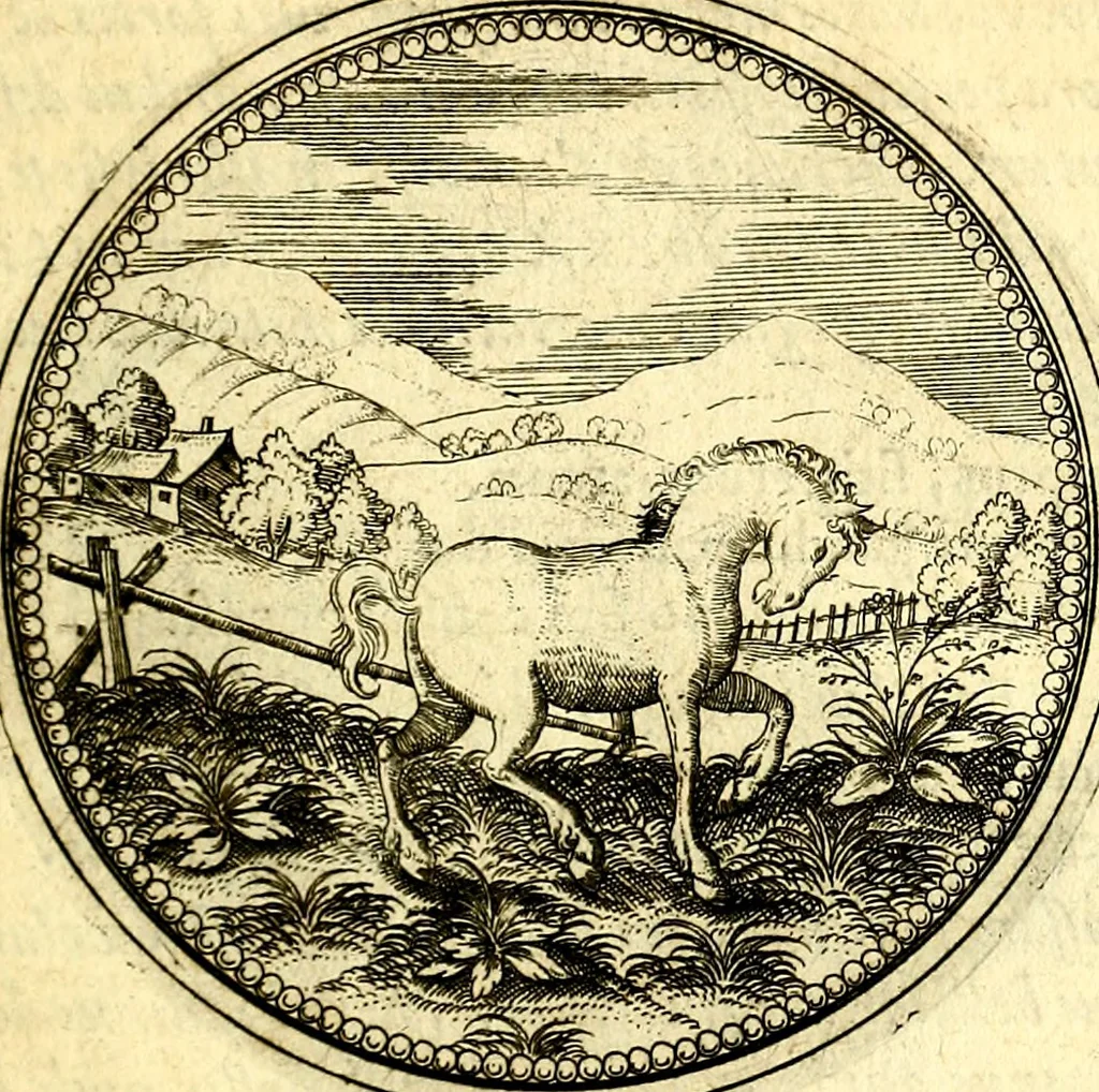 An illustration from Joachimi Camerarii Symbolorvm et emblematvm centvriæ tres. I. Ex herbis & stirpibus. II. Ex animalibus quadrupedibus. III. Ex volatilibus & insectis. Accessit noviter centvria IV. Ex aquatilibus & reptilibus. Cvm figvris æneis, 1605, leaf 266