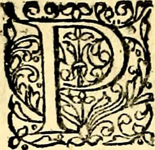 An illustration from Joachimi Camerarii Symbolorvm et emblematvm centvriæ tres. I. Ex herbis & stirpibus. II. Ex animalibus quadrupedibus. III. Ex volatilibus & insectis. Accessit noviter centvria IV. Ex aquatilibus & reptilibus. Cvm figvris æneis, 1605, leaf 269
