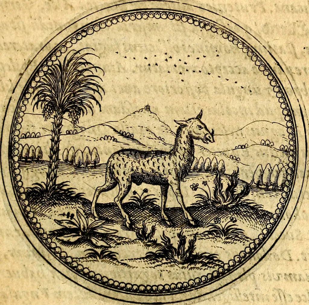 An illustration from Joachimi Camerarii Symbolorvm et emblematvm centvriæ tres. I. Ex herbis & stirpibus. II. Ex animalibus quadrupedibus. III. Ex volatilibus & insectis. Accessit noviter centvria IV. Ex aquatilibus & reptilibus. Cvm figvris æneis, 1605, leaf 298