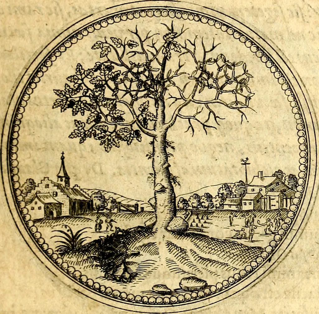 An illustration from Joachimi Camerarii Symbolorvm et emblematvm centvriæ tres. I. Ex herbis & stirpibus. II. Ex animalibus quadrupedibus. III. Ex volatilibus & insectis. Accessit noviter centvria IV. Ex aquatilibus & reptilibus. Cvm figvris æneis, 1605, leaf 30
