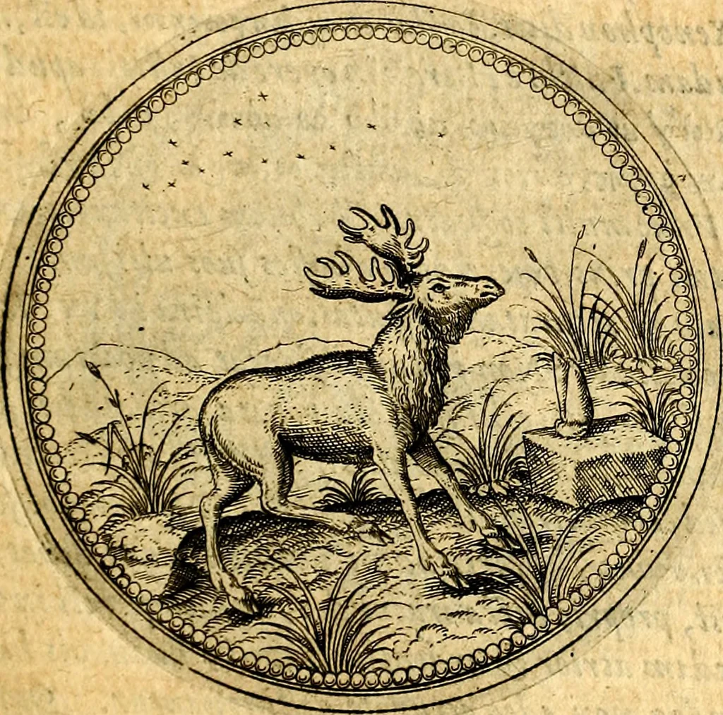 An illustration from Joachimi Camerarii Symbolorvm et emblematvm centvriæ tres. I. Ex herbis & stirpibus. II. Ex animalibus quadrupedibus. III. Ex volatilibus & insectis. Accessit noviter centvria IV. Ex aquatilibus & reptilibus. Cvm figvris æneis, 1605, leaf 300
