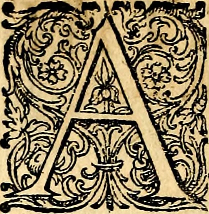 An illustration from Joachimi Camerarii Symbolorvm et emblematvm centvriæ tres. I. Ex herbis & stirpibus. II. Ex animalibus quadrupedibus. III. Ex volatilibus & insectis. Accessit noviter centvria IV. Ex aquatilibus & reptilibus. Cvm figvris æneis, 1605, leaf 303