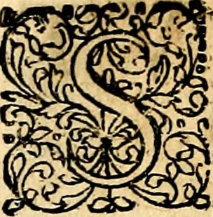 An illustration from Joachimi Camerarii Symbolorvm et emblematvm centvriæ tres. I. Ex herbis & stirpibus. II. Ex animalibus quadrupedibus. III. Ex volatilibus & insectis. Accessit noviter centvria IV. Ex aquatilibus & reptilibus. Cvm figvris æneis, 1605, leaf 305