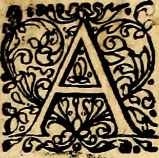 An illustration from Joachimi Camerarii Symbolorvm et emblematvm centvriæ tres. I. Ex herbis & stirpibus. II. Ex animalibus quadrupedibus. III. Ex volatilibus & insectis. Accessit noviter centvria IV. Ex aquatilibus & reptilibus. Cvm figvris æneis, 1605, leaf 307