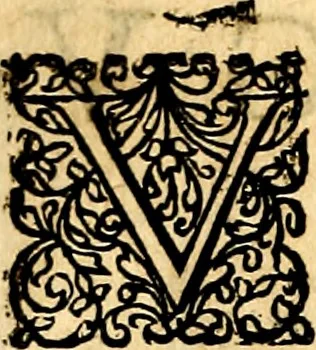 An illustration from Joachimi Camerarii Symbolorvm et emblematvm centvriæ tres. I. Ex herbis & stirpibus. II. Ex animalibus quadrupedibus. III. Ex volatilibus & insectis. Accessit noviter centvria IV. Ex aquatilibus & reptilibus. Cvm figvris æneis, 1605, leaf 317