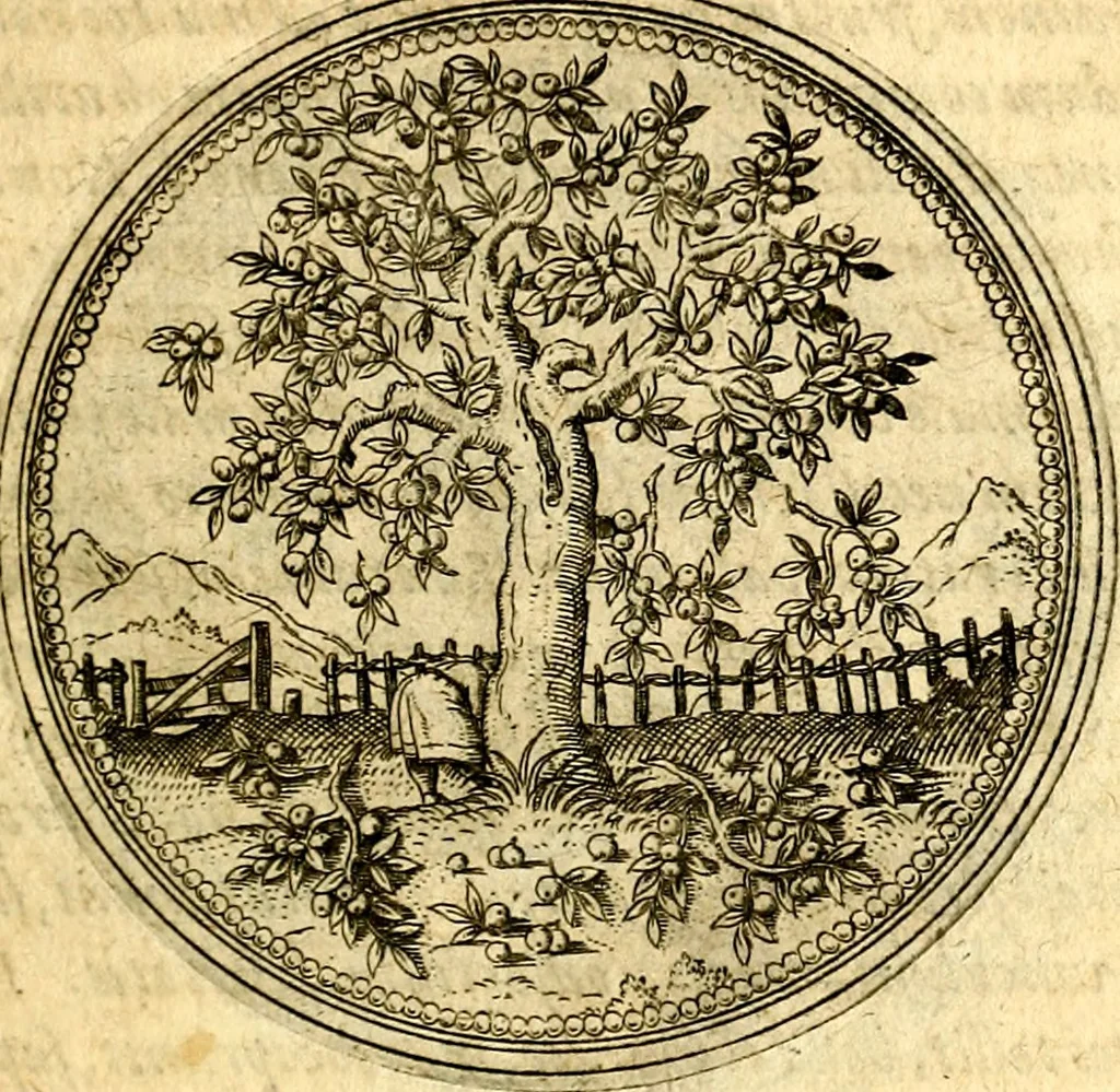 An illustration from Joachimi Camerarii Symbolorvm et emblematvm centvriæ tres. I. Ex herbis & stirpibus. II. Ex animalibus quadrupedibus. III. Ex volatilibus & insectis. Accessit noviter centvria IV. Ex aquatilibus & reptilibus. Cvm figvris æneis, 1605, leaf 32