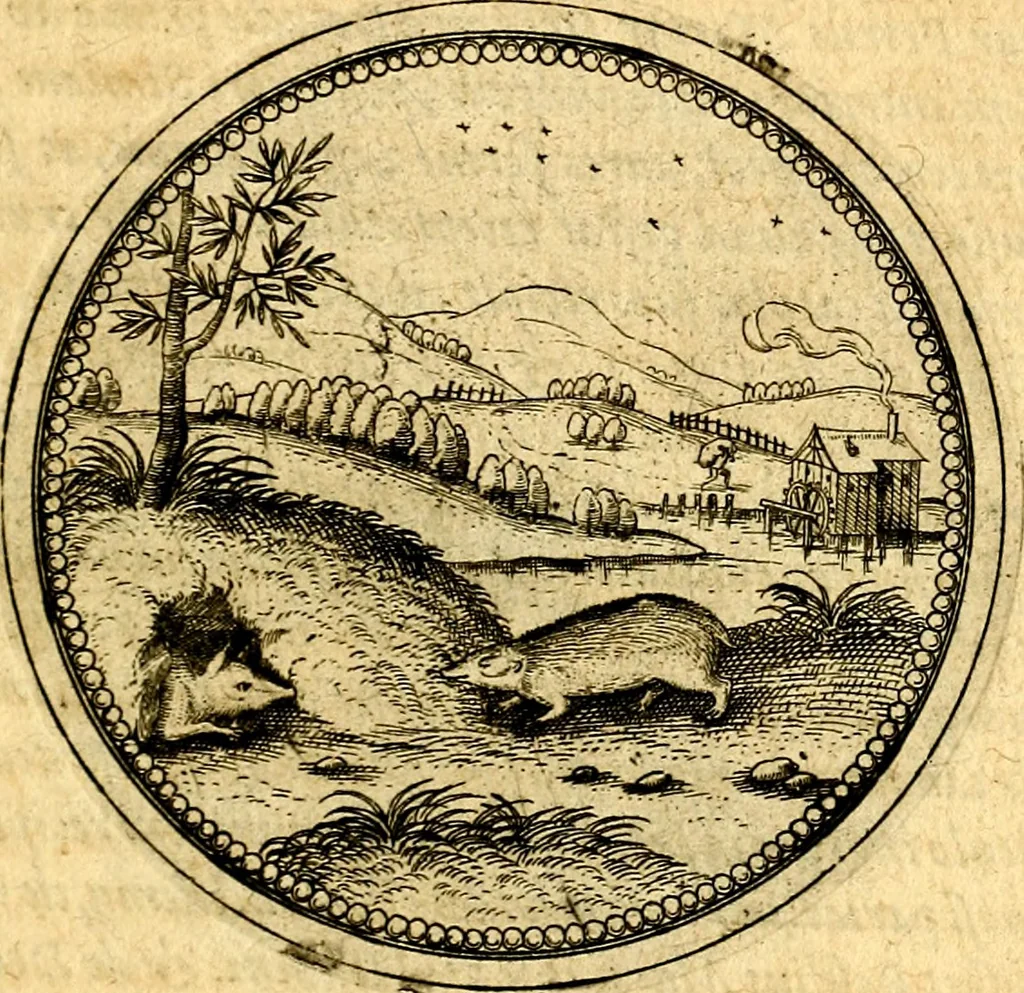 An illustration from Joachimi Camerarii Symbolorvm et emblematvm centvriæ tres. I. Ex herbis & stirpibus. II. Ex animalibus quadrupedibus. III. Ex volatilibus & insectis. Accessit noviter centvria IV. Ex aquatilibus & reptilibus. Cvm figvris æneis, 1605, leaf 322