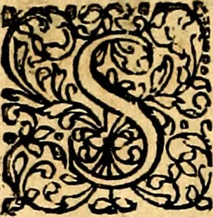 An illustration from Joachimi Camerarii Symbolorvm et emblematvm centvriæ tres. I. Ex herbis & stirpibus. II. Ex animalibus quadrupedibus. III. Ex volatilibus & insectis. Accessit noviter centvria IV. Ex aquatilibus & reptilibus. Cvm figvris æneis, 1605, leaf 323
