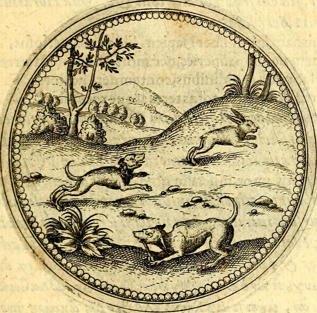 An illustration from Joachimi Camerarii Symbolorvm et emblematvm centvriæ tres. I. Ex herbis & stirpibus. II. Ex animalibus quadrupedibus. III. Ex volatilibus & insectis. Accessit noviter centvria IV. Ex aquatilibus & reptilibus. Cvm figvris æneis, 1605, leaf 326