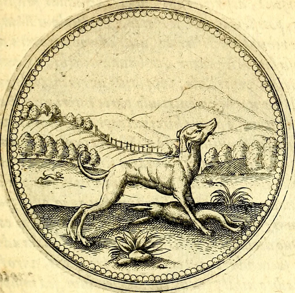 An illustration from Joachimi Camerarii Symbolorvm et emblematvm centvriæ tres. I. Ex herbis & stirpibus. II. Ex animalibus quadrupedibus. III. Ex volatilibus & insectis. Accessit noviter centvria IV. Ex aquatilibus & reptilibus. Cvm figvris æneis, 1605, leaf 334