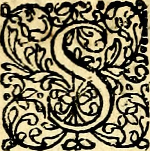 An illustration from Joachimi Camerarii Symbolorvm et emblematvm centvriæ tres. I. Ex herbis & stirpibus. II. Ex animalibus quadrupedibus. III. Ex volatilibus & insectis. Accessit noviter centvria IV. Ex aquatilibus & reptilibus. Cvm figvris æneis, 1605, leaf 337